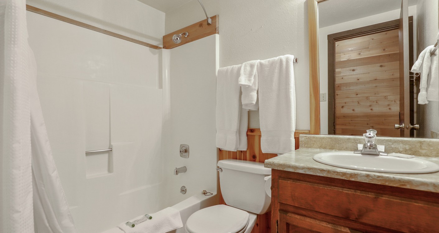 B C 3 Bed 3 Bath Lakeview Bathroom